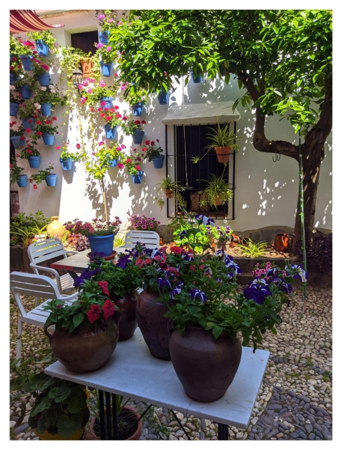 Casa Rural "Laplaza23" Herrera del Duque Eksteriør billede