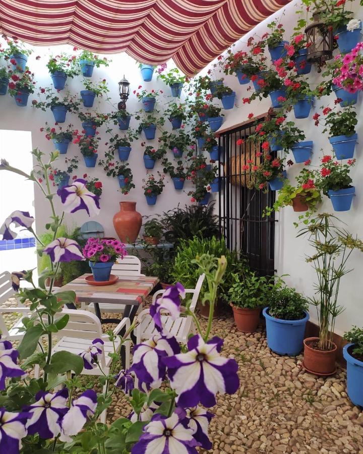Casa Rural "Laplaza23" Herrera del Duque Eksteriør billede